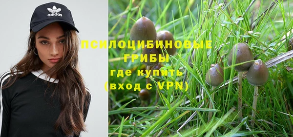 скорость Пересвет