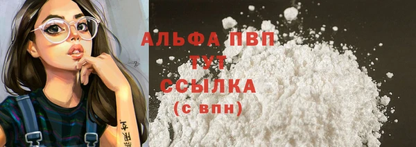 дживик Переславль-Залесский